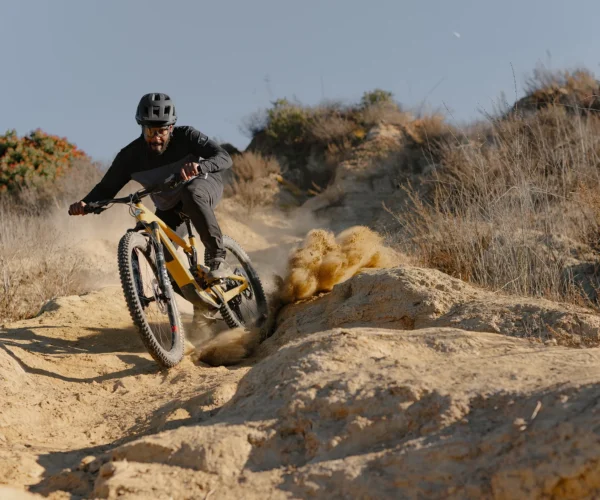 Stimmung, Almtalbiker